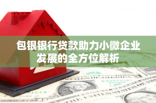 新埤包银银行贷款助力小微企业发展的全方位解析 新埤包银银行贷款助力小微企业发展的全方位解析