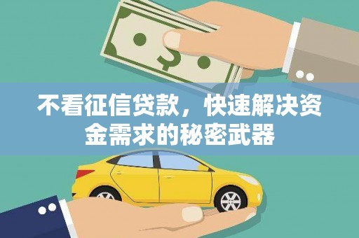 新埤不看征信贷款，快速解决资金需求的秘密武器