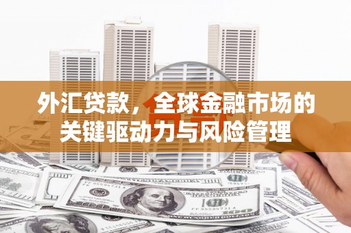 新埤外汇贷款，全球金融市场的关键驱动力与风险管理