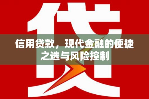 新埤信用贷款，现代金融的便捷之选与风险控制