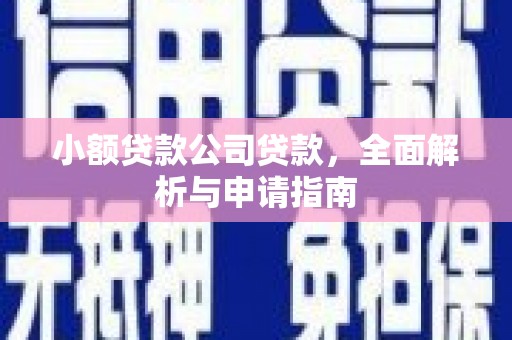 新埤小额贷款公司贷款，全面解析与申请指南