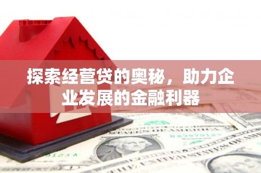 新埤探索经营贷的奥秘，助力企业发展的金融利器