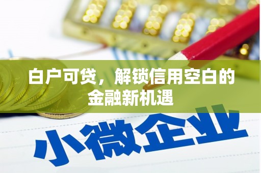 新埤白户可贷，解锁信用空白的金融新机遇