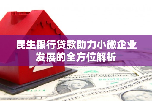 新埤民生银行贷款助力小微企业发展的全方位解析