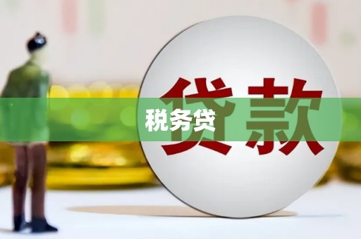 新埤税务贷