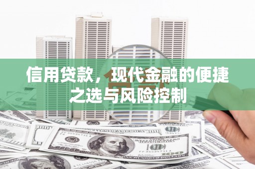 新埤信用贷款，现代金融的便捷之选与风险控制