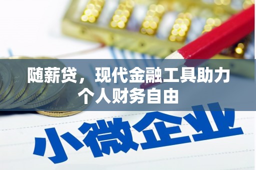 新埤随薪贷，现代金融工具助力个人财务自由