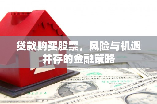 新埤贷款购买股票，风险与机遇并存的金融策略