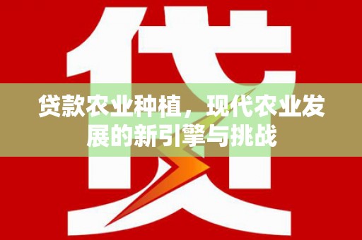 新埤贷款农业种植，现代农业发展的新引擎与挑战