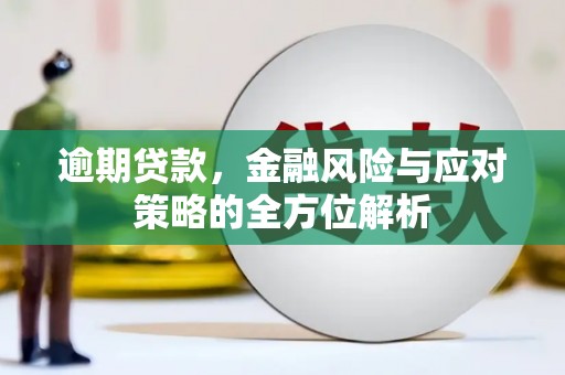 新埤逾期贷款，金融风险与应对策略的全方位解析