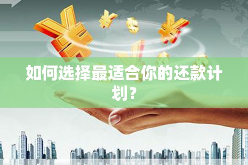新埤如何选择最适合你的还款计划？