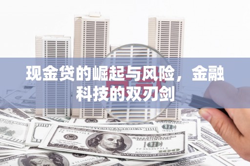 新埤现金贷的崛起与风险，金融科技的双刃剑