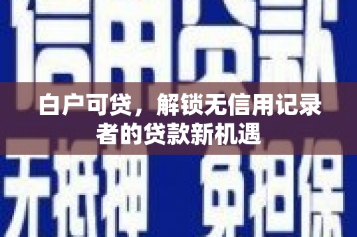 新埤白户可贷，解锁无信用记录者的贷款新机遇