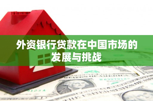 新埤外资银行贷款在中国市场的发展与挑战