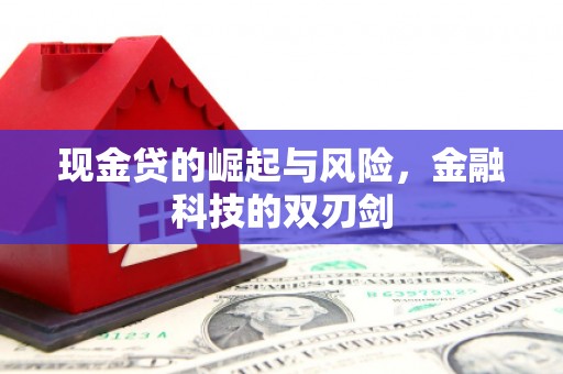 新埤现金贷的崛起与风险，金融科技的双刃剑