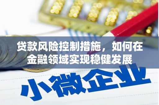 新埤贷款风险控制措施，如何在金融领域实现稳健发展