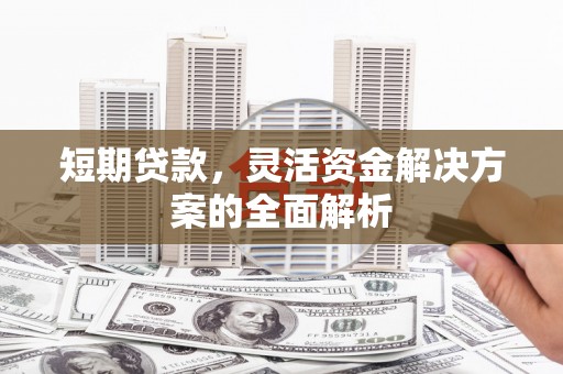 新埤短期贷款，灵活资金解决方案的全面解析