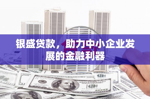 新埤银盛贷款，助力中小企业发展的金融利器