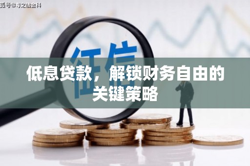 新埤低息贷款，解锁财务自由的关键策略
