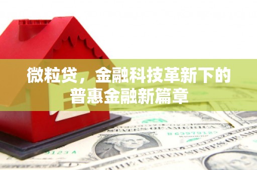 新埤微粒贷，金融科技革新下的普惠金融新篇章