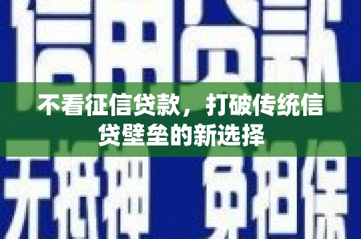 新埤不看征信贷款，打破传统信贷壁垒的新选择