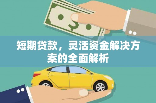 新埤短期贷款，灵活资金解决方案的全面解析