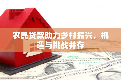 新埤农民贷款助力乡村振兴，机遇与挑战并存