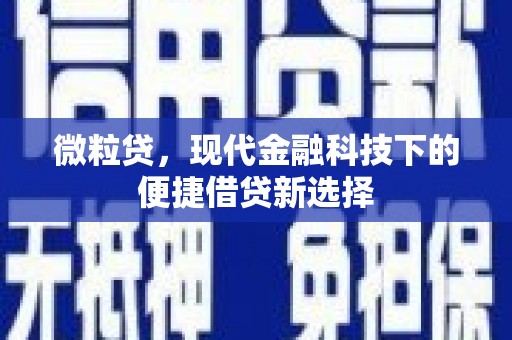 新埤微粒贷，现代金融科技下的便捷借贷新选择