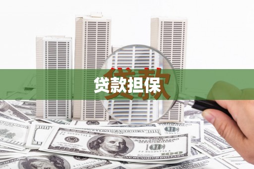 新埤贷款担保