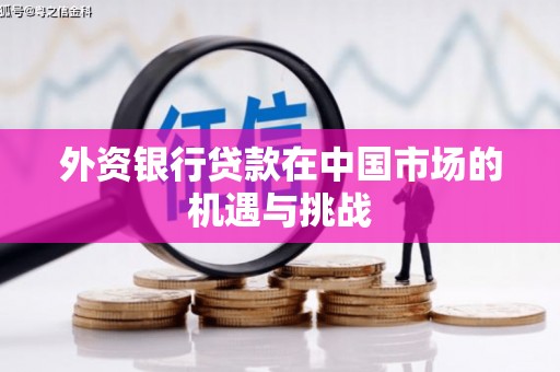 新埤外资银行贷款在中国市场的机遇与挑战