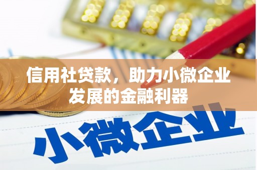 新埤信用社贷款，助力小微企业发展的金融利器