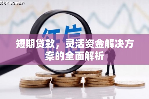 新埤短期贷款，灵活资金解决方案的全面解析