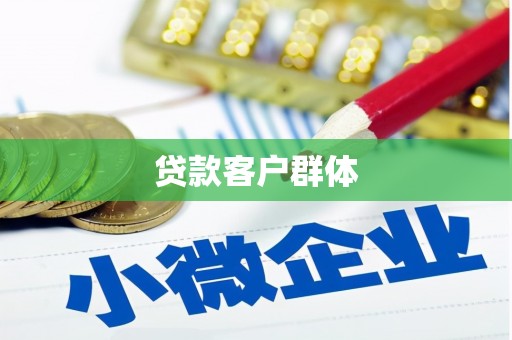 新埤贷款客户群体