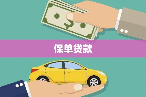 新埤保单贷款