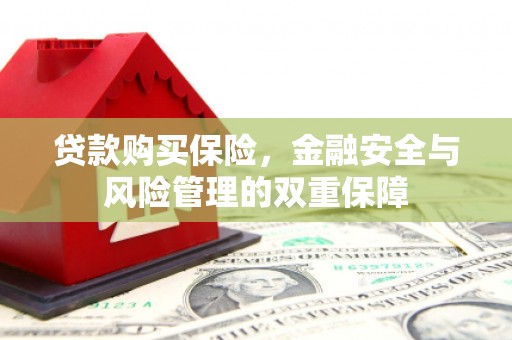 新埤贷款购买保险，金融安全与风险管理的双重保障
