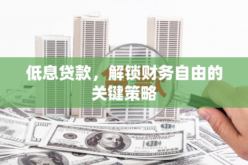 新埤低息贷款，解锁财务自由的关键策略