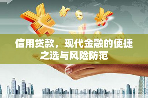 新埤信用贷款，现代金融的便捷之选与风险防范