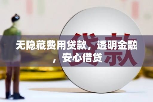 新埤无隐藏费用贷款，透明金融，安心借贷
