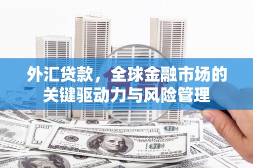 新埤外汇贷款，全球金融市场的关键驱动力与风险管理
