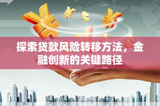 新埤探索贷款风险转移方法，金融创新的关键路径