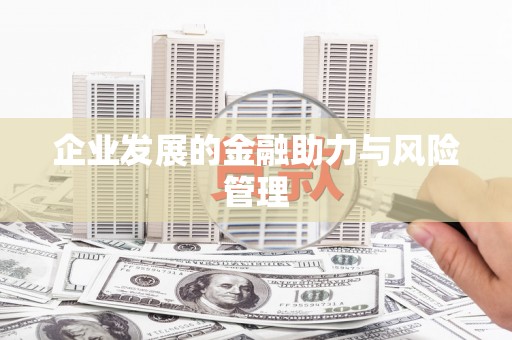 新埤企业发展的金融助力与风险管理