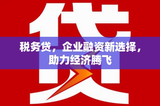 新埤税务贷，企业融资新选择，助力经济腾飞