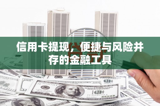 新埤信用卡提现，便捷与风险并存的金融工具