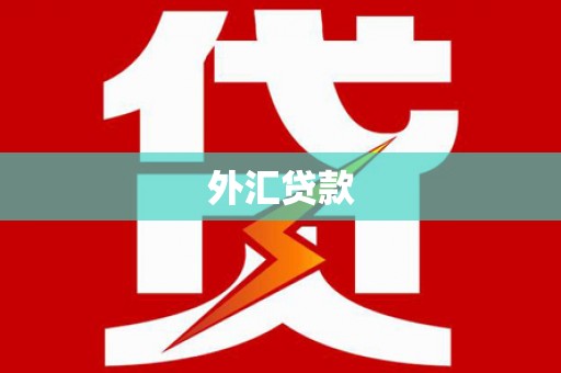 新埤外汇贷款