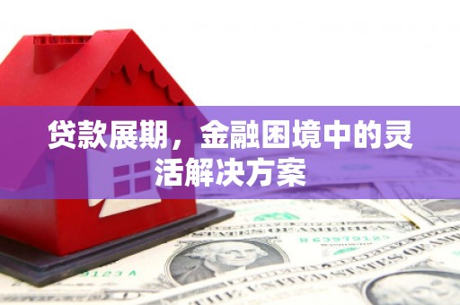 新埤贷款展期，金融困境中的灵活解决方案