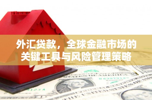新埤外汇贷款，全球金融市场的关键工具与风险管理策略