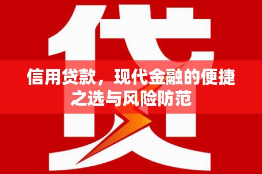 新埤信用贷款，现代金融的便捷之选与风险防范