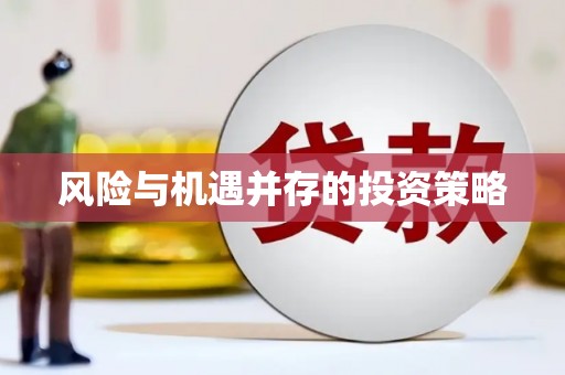新埤风险与机遇并存的投资策略