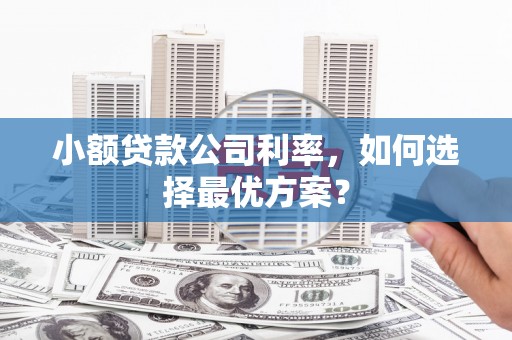 新埤小额贷款公司利率，如何选择最优方案？