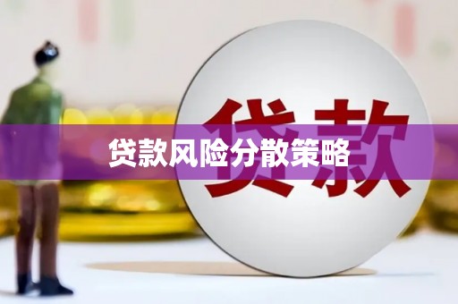 新埤贷款风险分散策略